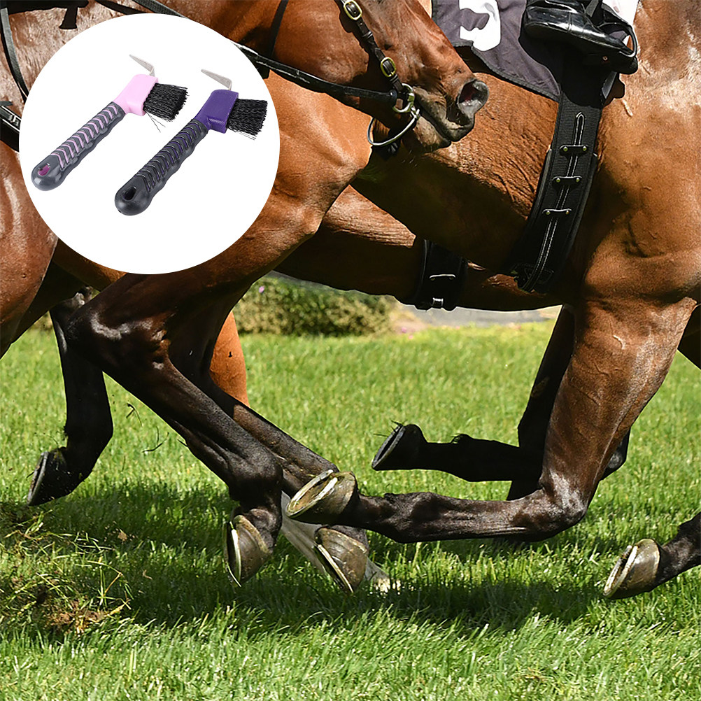 2Pcs Horse Hoof Pick with Brus - Brushing Boot Horse review and price