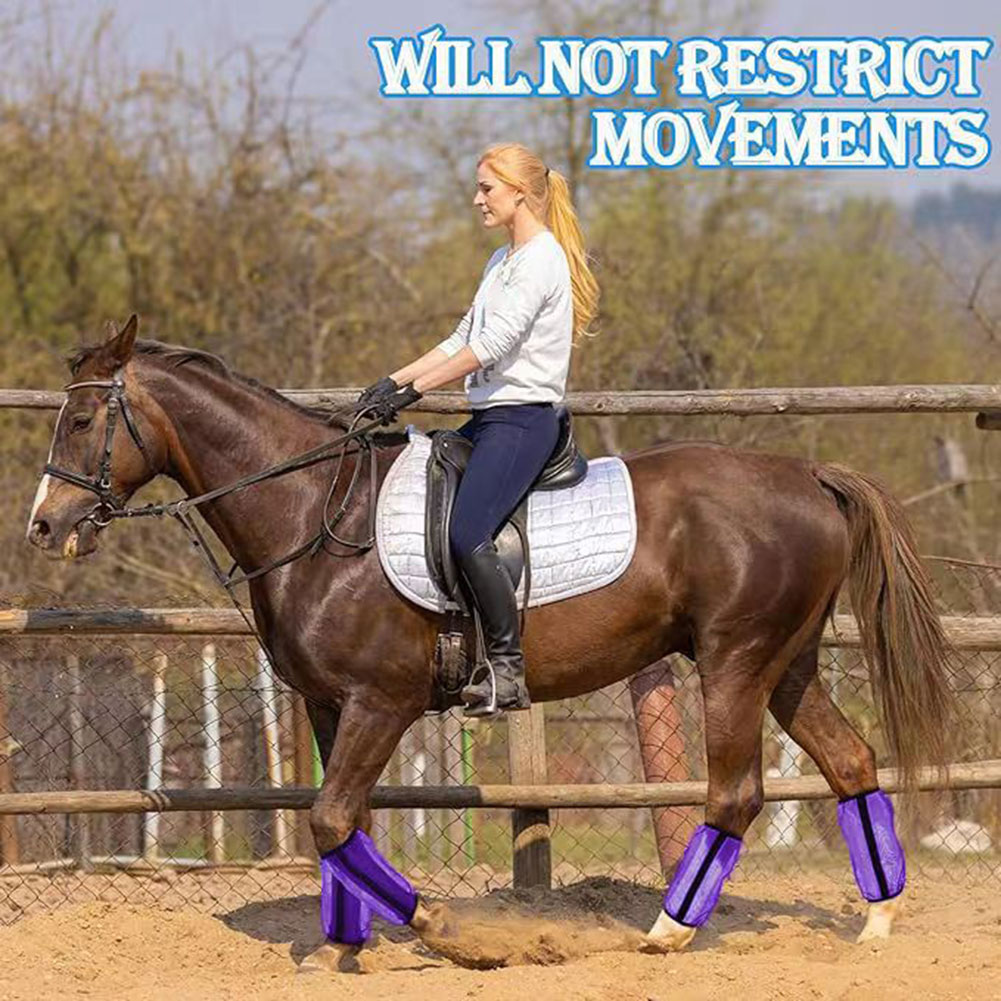 Stomp-Free Fly Boots For Horse - Brushing Boot Horse review and price